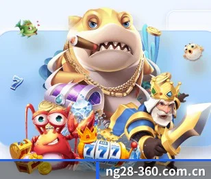 NG28 的征途